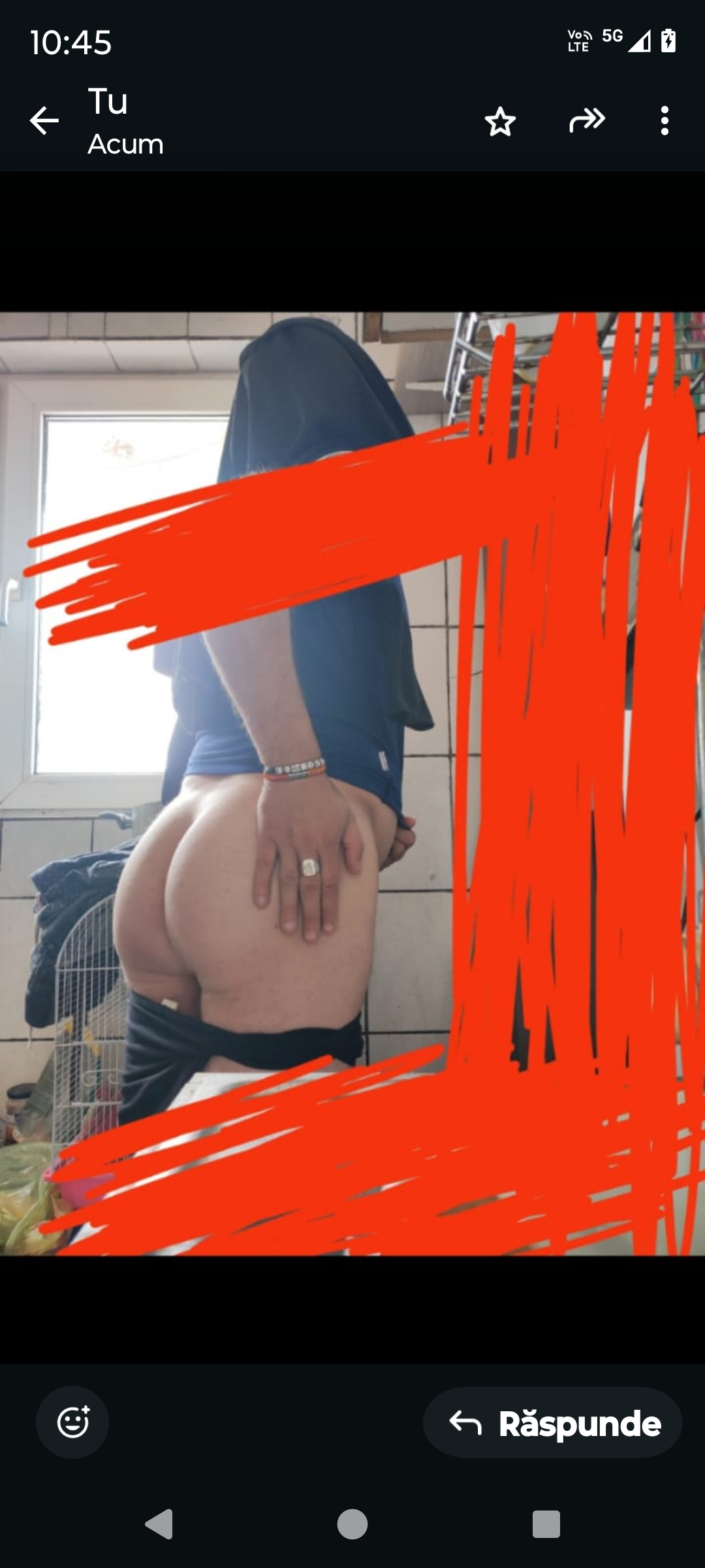 Escorta Oras: Bucuresti - Escorta Telefon: 0768493009 -  Servicii Escorta : Salut, , , , , , , , , daca esti activ curat si dotat , , , , , , , , ma poti suna sau lasa un mesaj , , , , , daca nu esti activ sau curat si dotat , , , , , te ROG sa nu deranjezi , , , , , blok