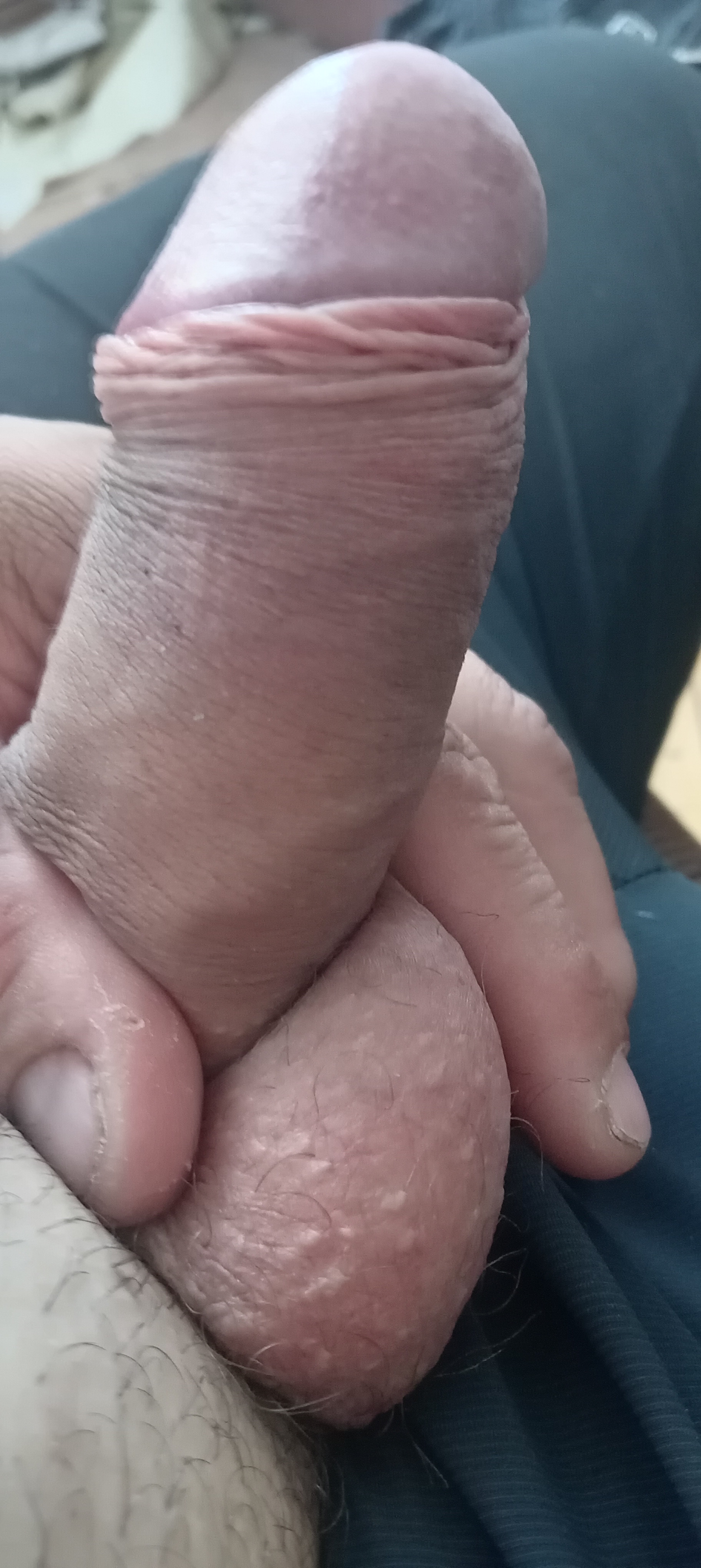 Bucuresti - Escorta Sexy - BUNA OFER DOMNILOR ACTIVI SERVICI SEXUALE EU SUNT GAY PASIV MA SI TRAVESTESC IMI DORESC SA FIU FETITA.  PENTRU MAI MULTE DETALII CONTACTA?I-M?.  NU R?SPUND LA NUMERE NECUNOSCUTE.  AM WATHAPP