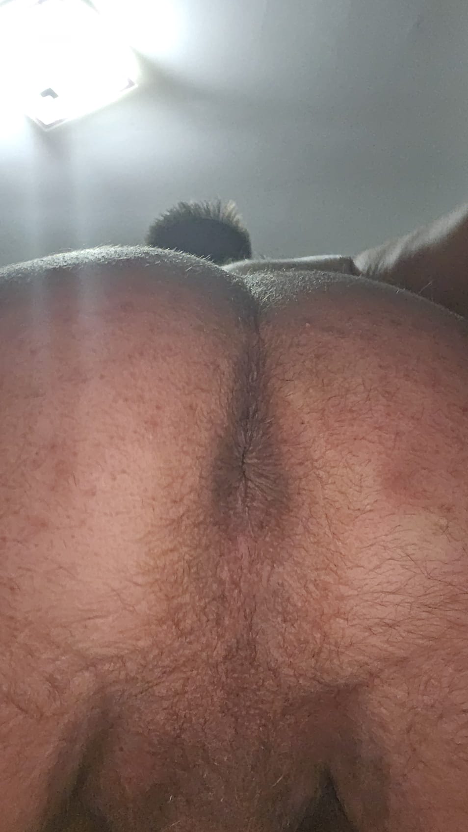 Escorta Oras: Brașov - Escorta Telefon: 0753586177 -  Servicii Escorta : Buna iubitule e?ti interesat de o aventura in privat