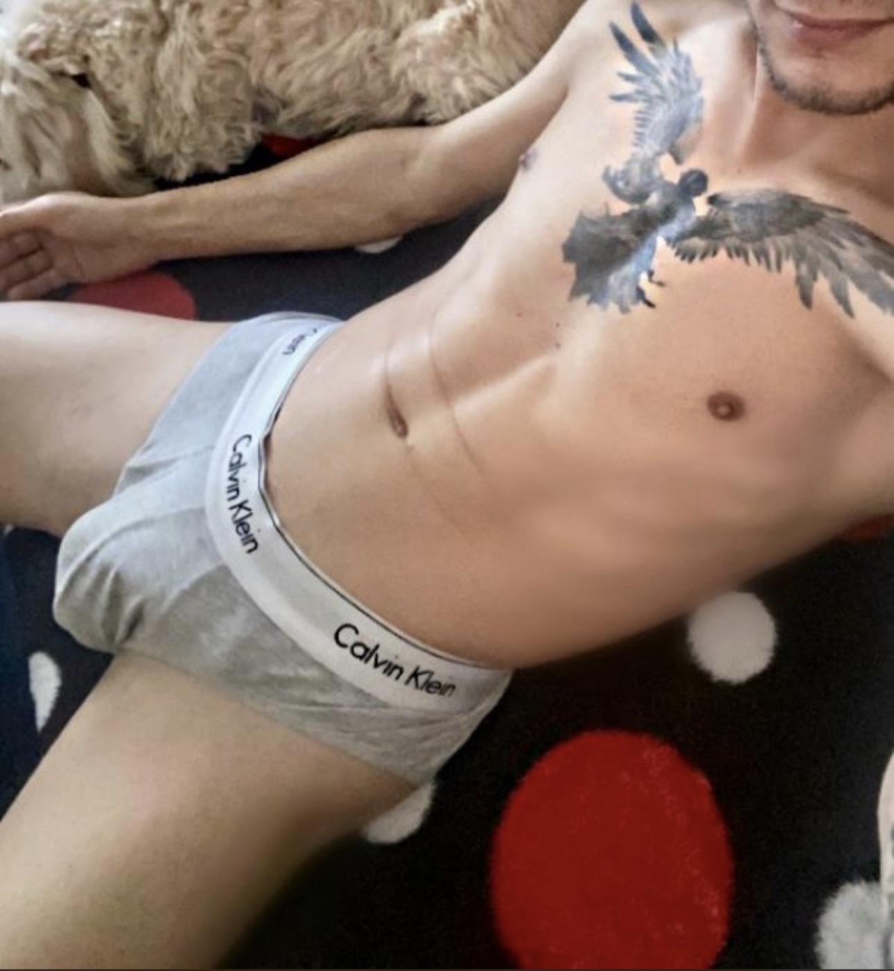 Cluj - Escorta Sexy - Salut, ma numesc David , 29 ani , activ cu locatie .  Va ofer masaj de relaxare erotic si multe alte fantezii, trebuie doar sa fi decis ce vrei! Nu raspund la numere private ! Nu trimit poze xxx! Cei ce au pofta de caterinca vor fi blocati! Mai multe detalii va astept la telefon sau whatsApp! Multumesc