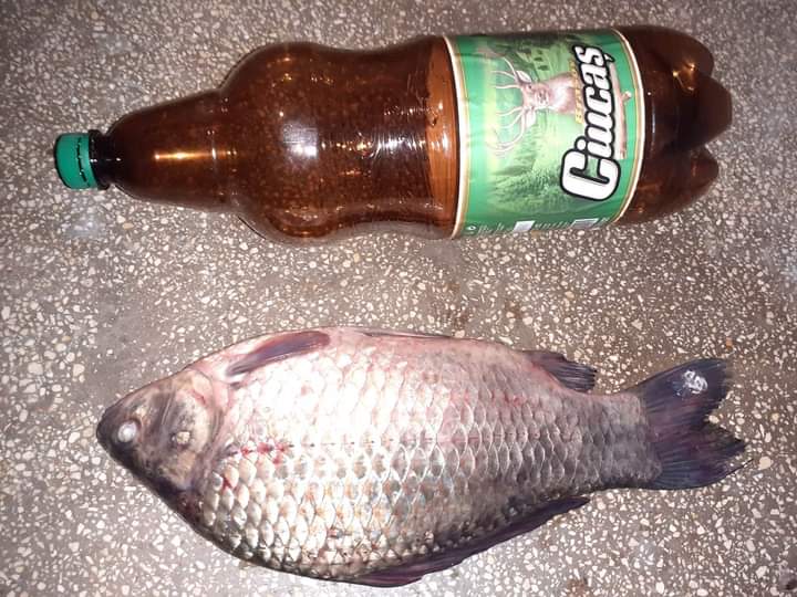 Escorta Sex - Doresc, seriozitate - Telefon: 0746946356 