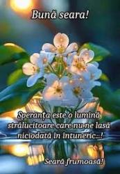 Escorte din - Galați Romania | Anunturi Matrimoniale / Escorte Sexy  - Telefon:  0746688934 - Șatenă discreta atenta la cerintele tale, ofer domnilor manierati companie la domiciliul meu.  Ofer si cer seriozitate maxima, higiena garantata.  Detalii suplimentare la telefon / WhatsApp 