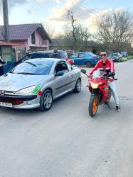 Bucuresti - Escorta Sexy - Bună mă numesc George am 23 de ani și sunt un tip liniștit și sincer  și mi-ar placea să cunosc o tipă drăguță cuminte care să îsi dorească o relație serioasă  bazată pe resepct și încredere și cuminte
