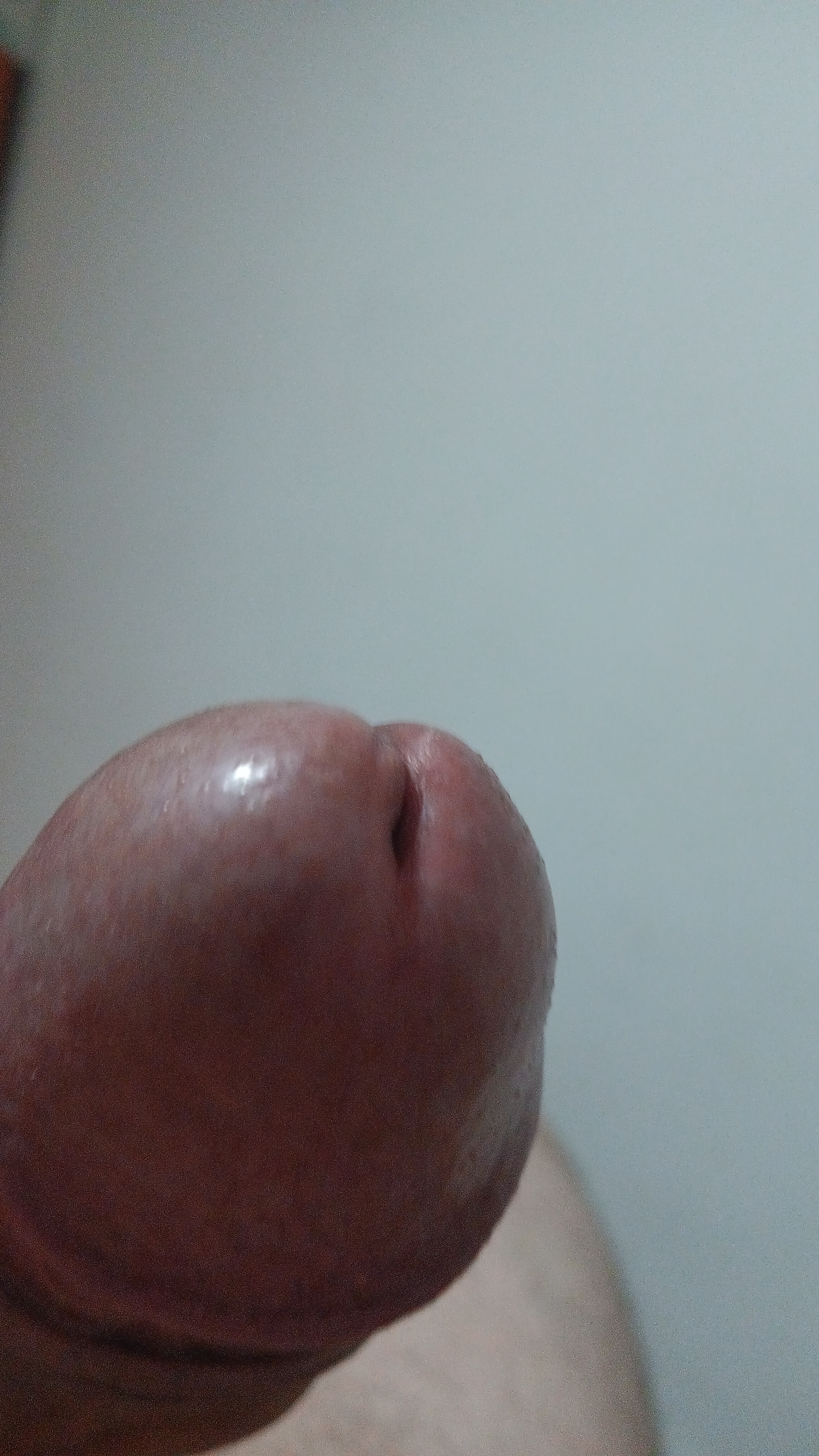 Escorta Oras: PLOIESTI - Escorta Telefon: 0732739702 -  Servicii Escorta : DOTAT BI CAUT FETE  BAIETI SAU  CUPLU PENTRU ALE INDEPLINI FANTEZILE AM LOC DA MA SI DEPLASEZ