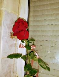 GALAȚI - Escorta Sexy - Buna .  Ofer companie domnilor manierați higienă discreție și seriozitate maxima preț acceptabil poza reală Galați ofer companie doar tu și eu particular 100/reală