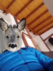 Targoviste - Escorta Sexy - Tnar dotat peste medie pentru doamne si cupluri curat discretie masaj relaxare sunt un tnar dotat peste medie pentru doamne si cupluri curat discretie igiena dotat detali watap sau telefon