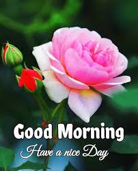 Escorta Sexy - Pt o relaxare contactează mă folosesc și WhatsApp poza reală Galați ofer companie domnilor manierați higienă discreție maximă disponibila in Galați program de zi pt mai multe detalii contactează mă.  Doar tu și eu particular.  100% reală .  - Telefon: 0746688934  Escorta Sex - Pt o relaxare contactează mă folosesc și WhatsApp poza reală Galați ofer companie domnilor manierați higienă discreție maximă disponibila in Galați program de zi pt mai multe detalii contactează mă.  Doar tu și eu particular.  100% reală .  - Telefon: 0746688934