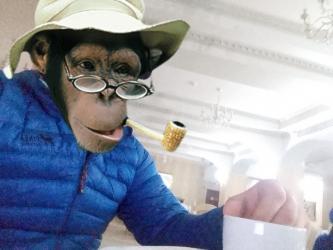 Escorta Oras: Tàrgoviste Bucuresti - Escorta Telefon: 0726629474 -  Servicii Escorta : Tnar dotat peste medie pentru doamne si cupluri masaj relaxare sunt un tnar singur pentru doamne si cupluri curat discretie igiena dotat peste medie detali watap sau telefon