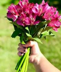 Galați - Escorta Sexy - Escorta sexy te astept la mine domn serios sa-ti ofer cele mai bune servicii de companie,  esti un domn caruia ii place atmosfera atunci suna-ma, nu iti va parea rau.  Detalii la telefon / WhatsApp