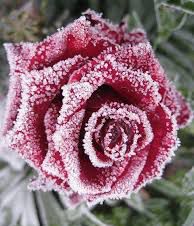 Escorta Sex - Primesc la mine in locație.  Program de zi.  Pt 
 O relaxare.  Contactează mă pt detalii , servicii.  Folosesc și whatsapp.  Poza reală.  Preț accesibil.  Galați.  Am dreptul de a mi selecta clientela.  - Telefon: 0746688934 