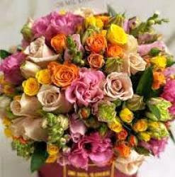 Escorta Sexy - Galati - Pt o relaxare contacteaza ma folosesc și whatsapp poza reală Galați preț accesibil ofer companie domnilor manierați higiéna discreție și seriozitate maxima Galați doar tu și eu particular.  100% reală.  Galati - Escorta Sexy - Pt o relaxare contacteaza ma folosesc și whatsapp poza reală Galați preț accesibil ofer companie domnilor manierați higiéna discreție și seriozitate maxima Galați doar tu și eu particular.  100% reală.