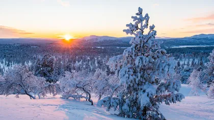 Escorta Sexy - Pt o relaxare contacteaza ma folosesc și whatsapp poza reală Galați preț accesibil ofer companie domnilor manierați higiena, discreție, seriozitate maxima.  doar tu și eu.  Particular.  100, % reală.  Galați - Telefon: 0746688934  Escorta Sex - Pt o relaxare contacteaza ma folosesc și whatsapp poza reală Galați preț accesibil ofer companie domnilor manierați higiena, discreție, seriozitate maxima.  doar tu și eu.  Particular.  100, % reală.  Galați - Telefon: 0746688934