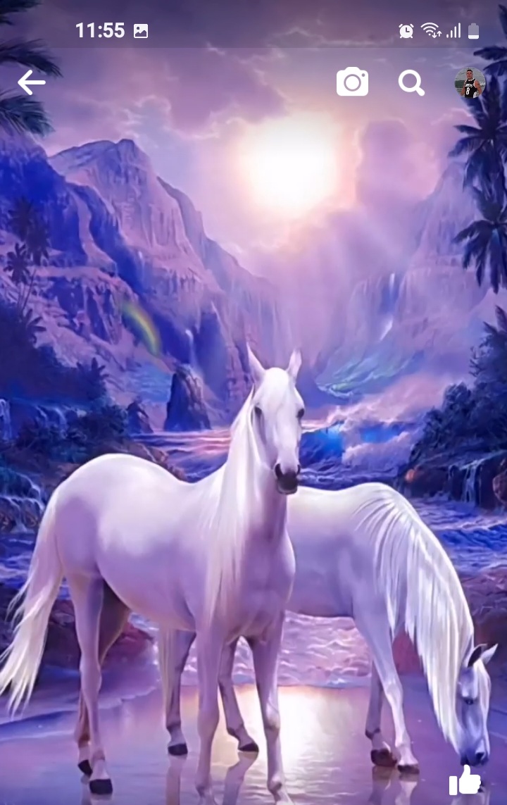 Escorta Oras: Bucuresti - Escorta Telefon: 0784913332 -  Servicii Escorta : Disponibil si pnt cupluri Escorta Oras: Bucuresti - Escorta Telefon: 0784913332 -  Servicii Escorta : Disponibil si pnt cupluri